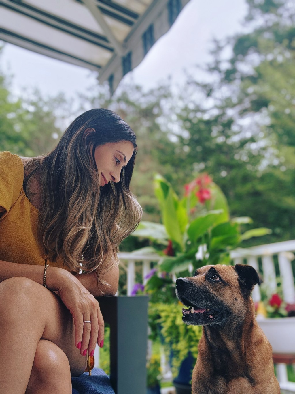 My journey with&nbsp;Bellamy